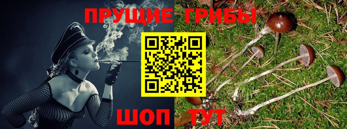 Нововоронеж  МАРИХУАНА  Мефедрон   Гашиш  Вход с VPN  MDMA  ГАШ  Меф МЯУ МЯУ 