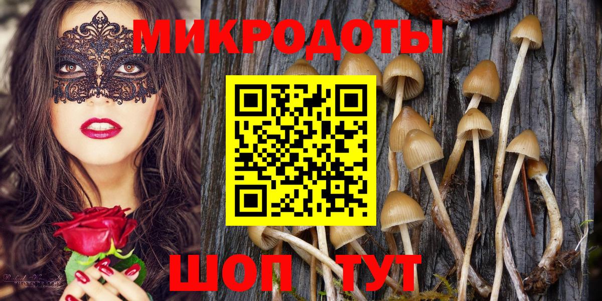 купить наркоту  Псилоцибиновые грибы MAGIC MUSHROOMS  Вход с VPN  Псилоцибиновые грибы GOLDEN TEACHER  Нововоронеж 