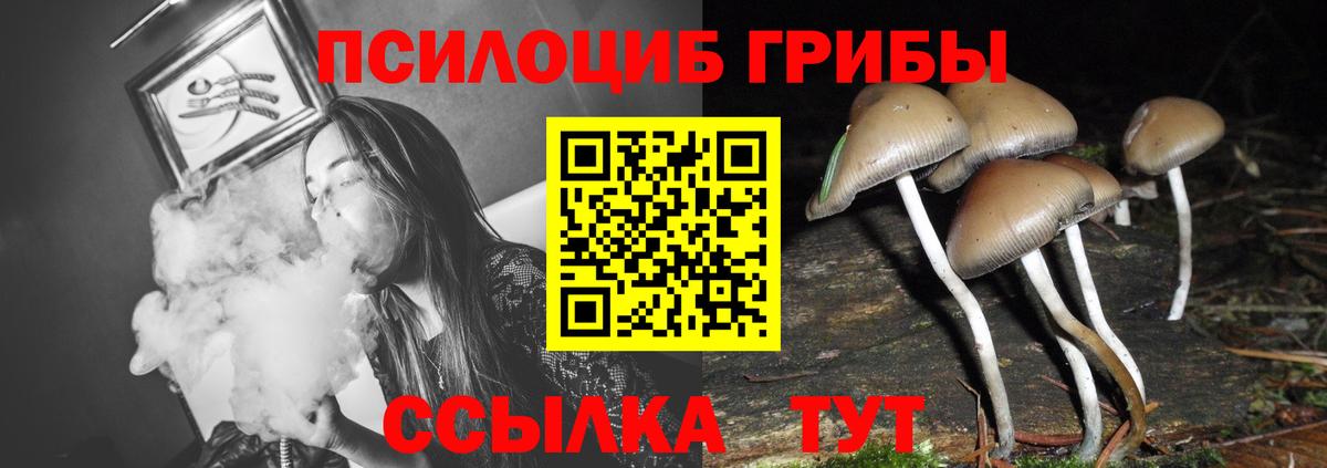 Псилоцибиновые грибы MAGIC MUSHROOMS Нововоронеж